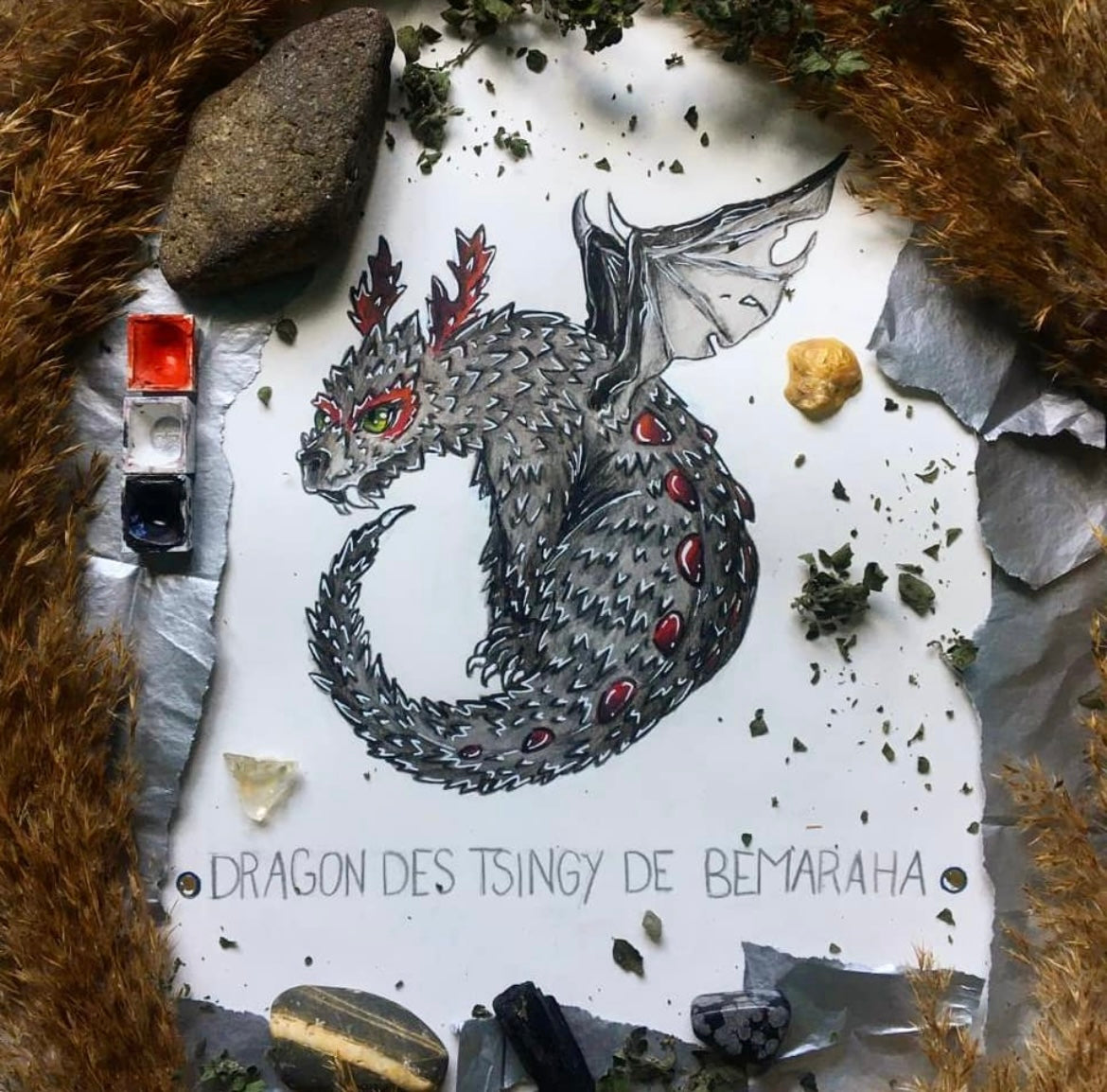 Le dragon des tsingy de Bemahara