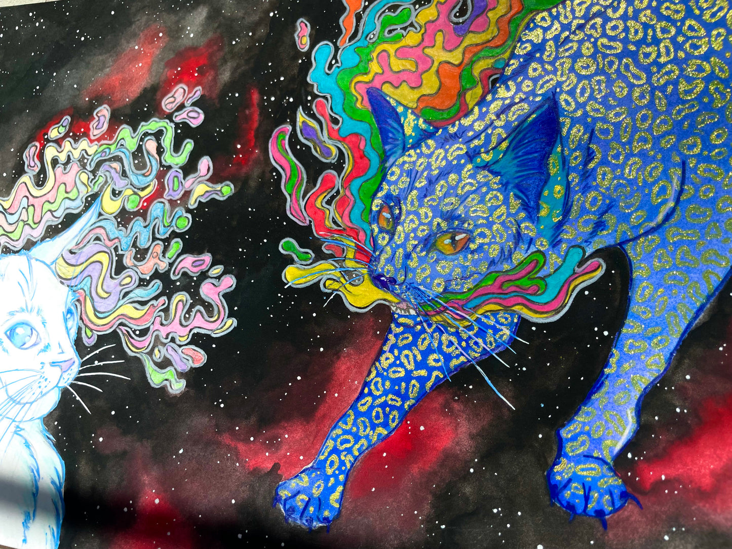 Les chats contraires