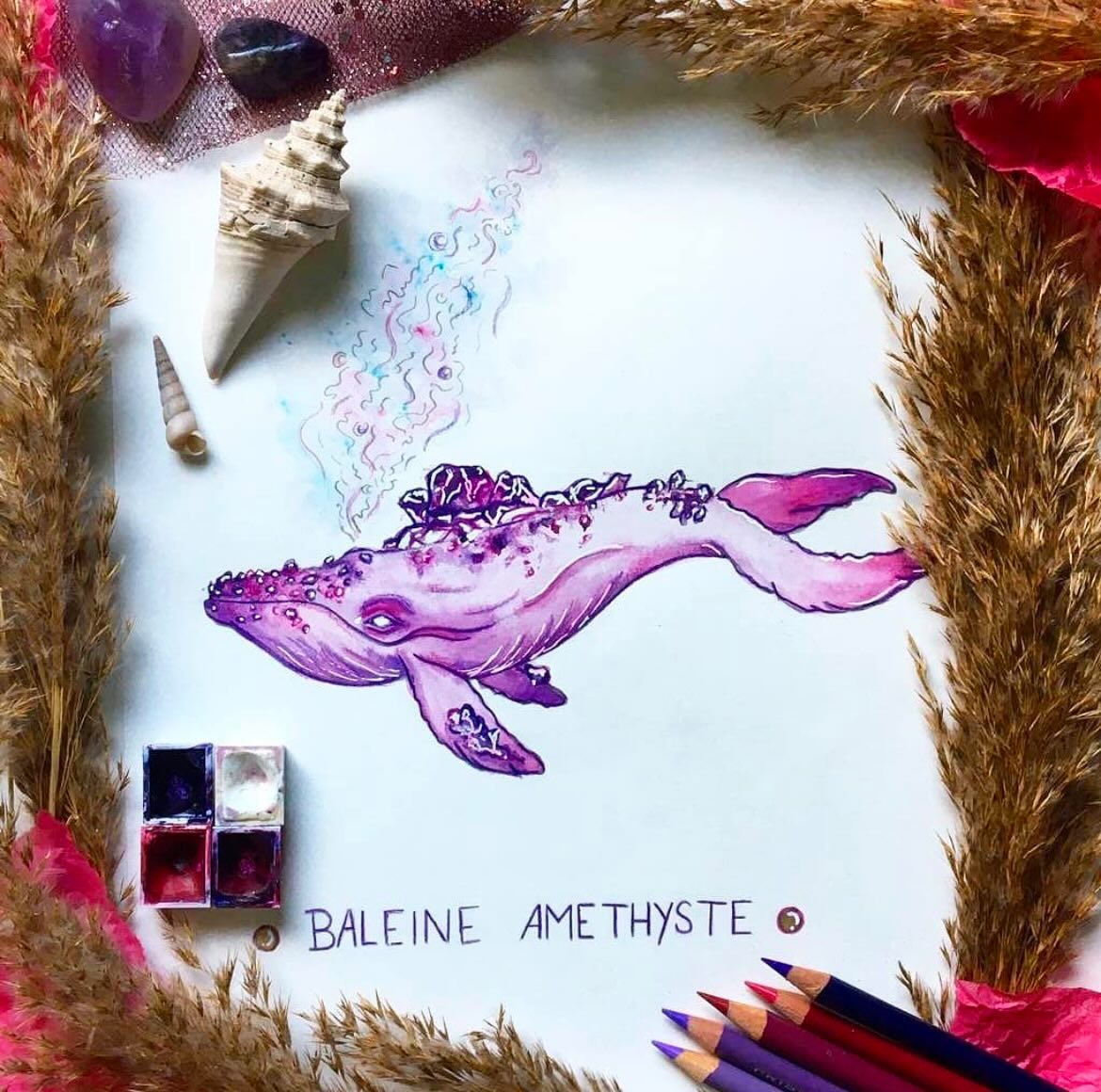 La baleine améthyste