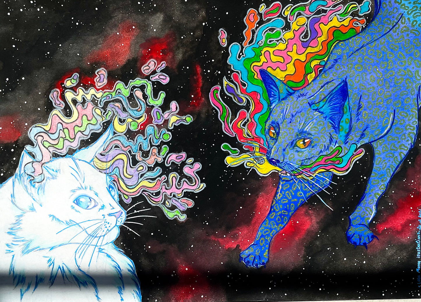 Les chats contraires