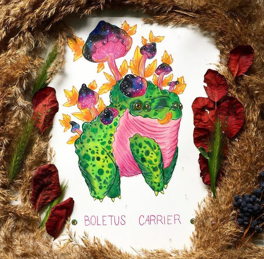 Boletus Carrier