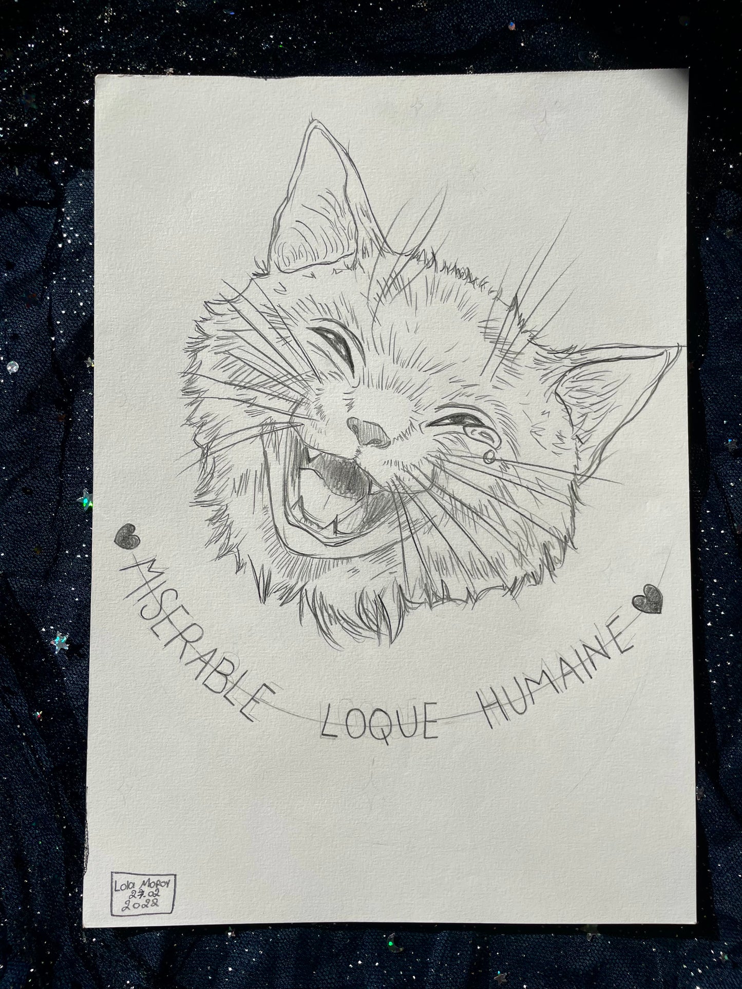 Misérable loque humaine