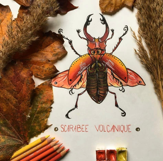 Le Scarabée Volcanique