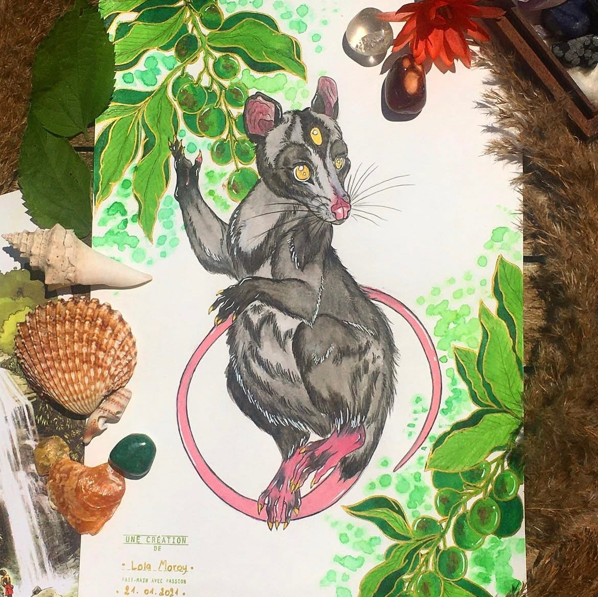 Manicou et quenettes